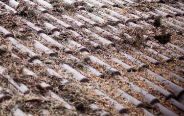 Lothianbridge roof cleaning companies